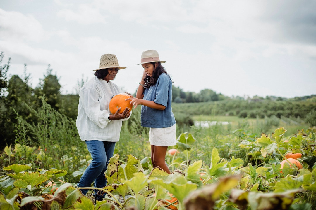 Relații sănătoase si cultivarea lor: o cale vitală către bunăstarea individuală și societală